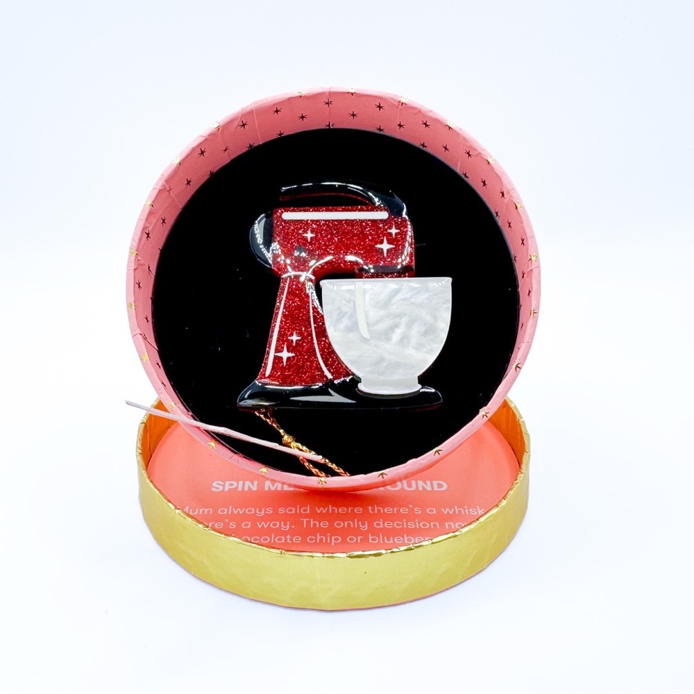 Erstwilder LDE Lucky Dip Exclusive Spin Me Right Round BNIB Brooch